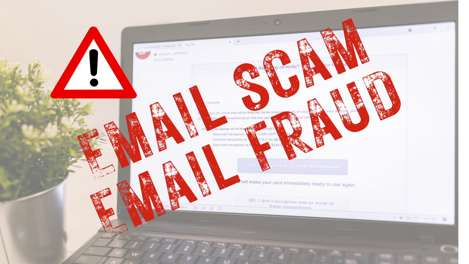 EMAIL SCAM EMAIL FRAUD|||