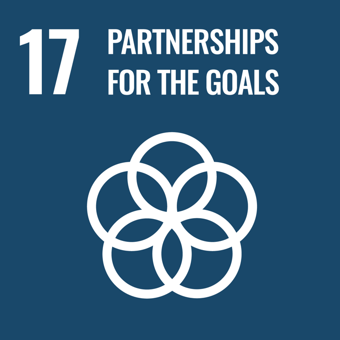 Sdg 17